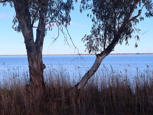 lake-bonney-campground-barmera-lv1ys