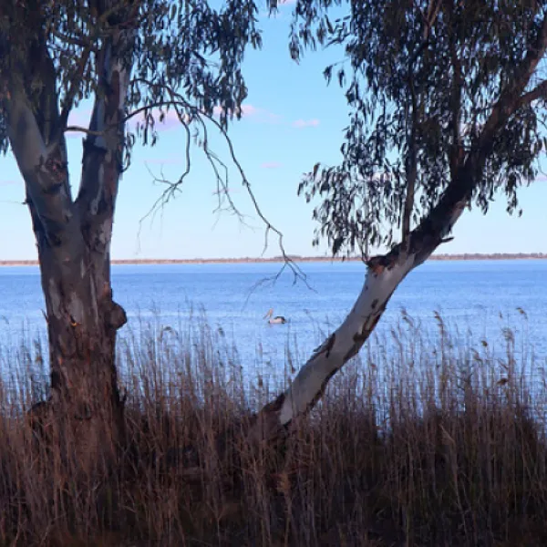 lake-bonney-campground-barmera-lv1ys