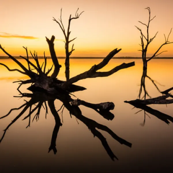 lake-bonney-campground-barmera-orp1k