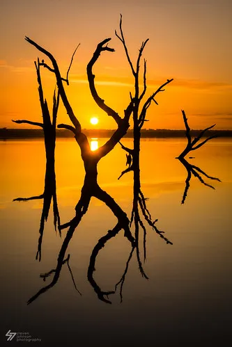 lake-bonney-campground-barmera-ple1x