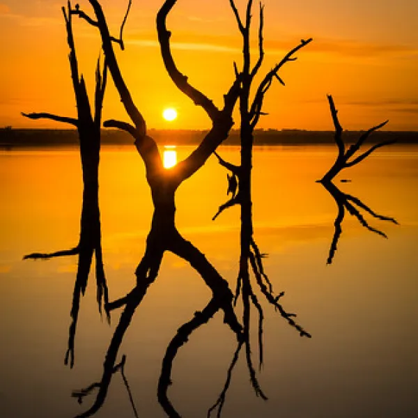 lake-bonney-campground-barmera-ple1x