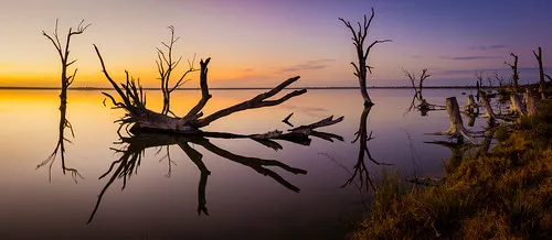 lake-bonney-campground-barmera-zknod