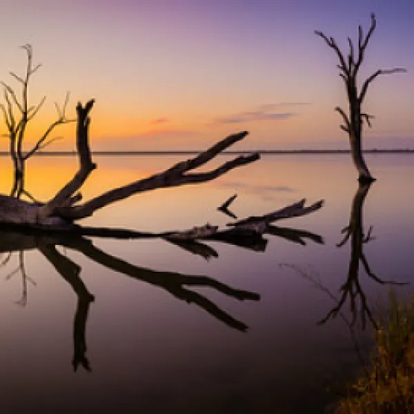 lake-bonney-campground-barmera-zknod