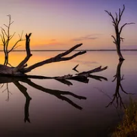 lake-bonney-campground-barmera-zknod