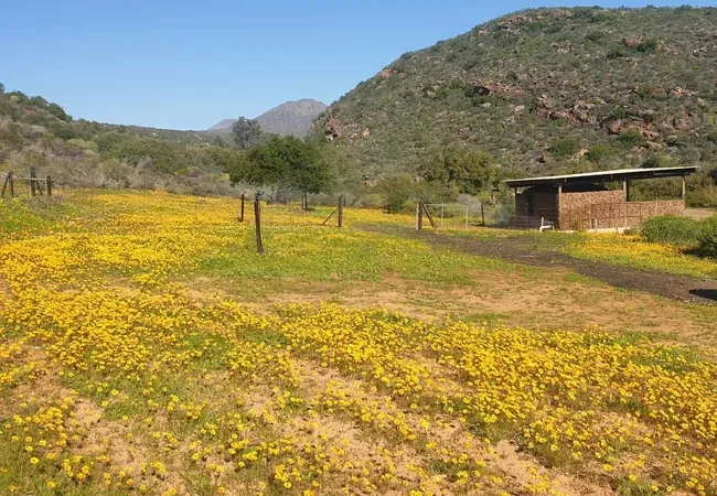 lylius-glamping-krieberg-farm-clanwilliam-ltlkv