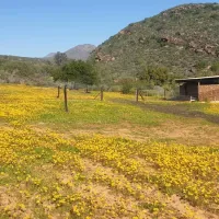 lylius-glamping-krieberg-farm-clanwilliam-ltlkv