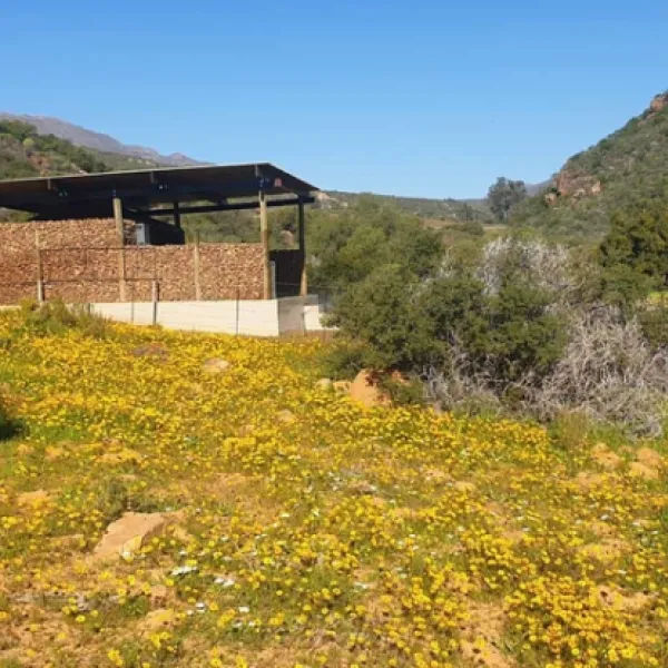 lylius-glamping-krieberg-farm-clanwilliam-razvm