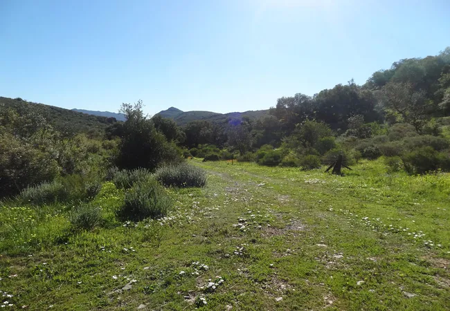 lylius-glamping-krieberg-farm-clanwilliam-tnsm4