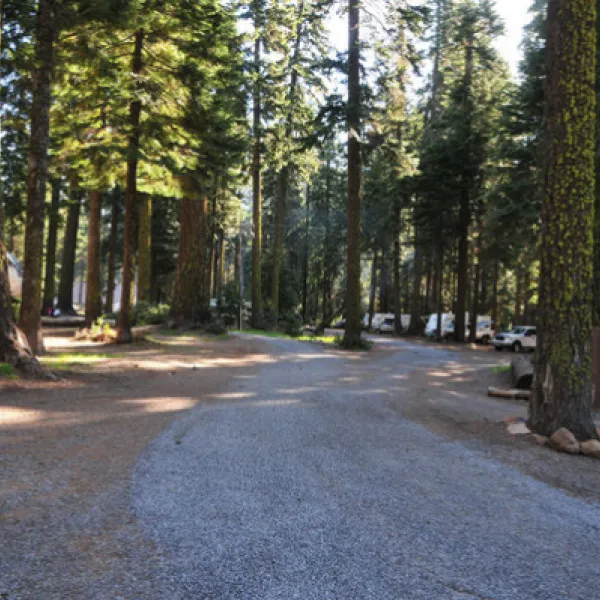 lake-of-the-woods-resort-lake-of-the-woods-i3elo