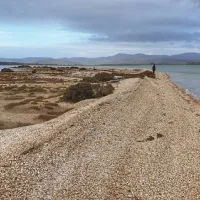 narwantapu-national-park-campground-bakers-beach-j8kp2