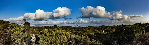 narwantapu-national-park-campground-bakers-beach-lhssi