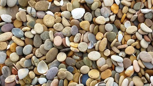 narwantapu-national-park-campground-bakers-beach-oolao