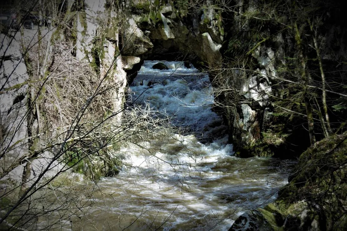 schluchttal-naturcamping-waldshut-tiengen-6aehy