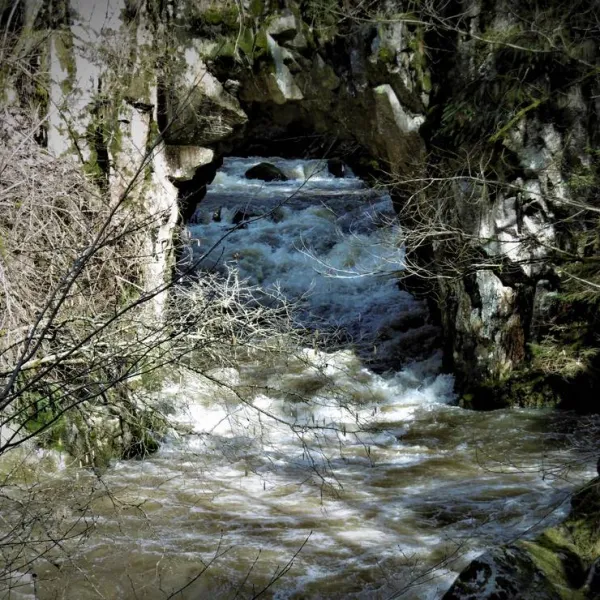 schluchttal-naturcamping-waldshut-tiengen-6aehy