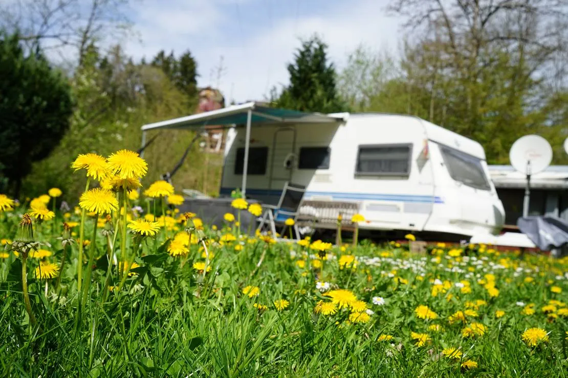 schluchttal-naturcamping-waldshut-tiengen-a2guw