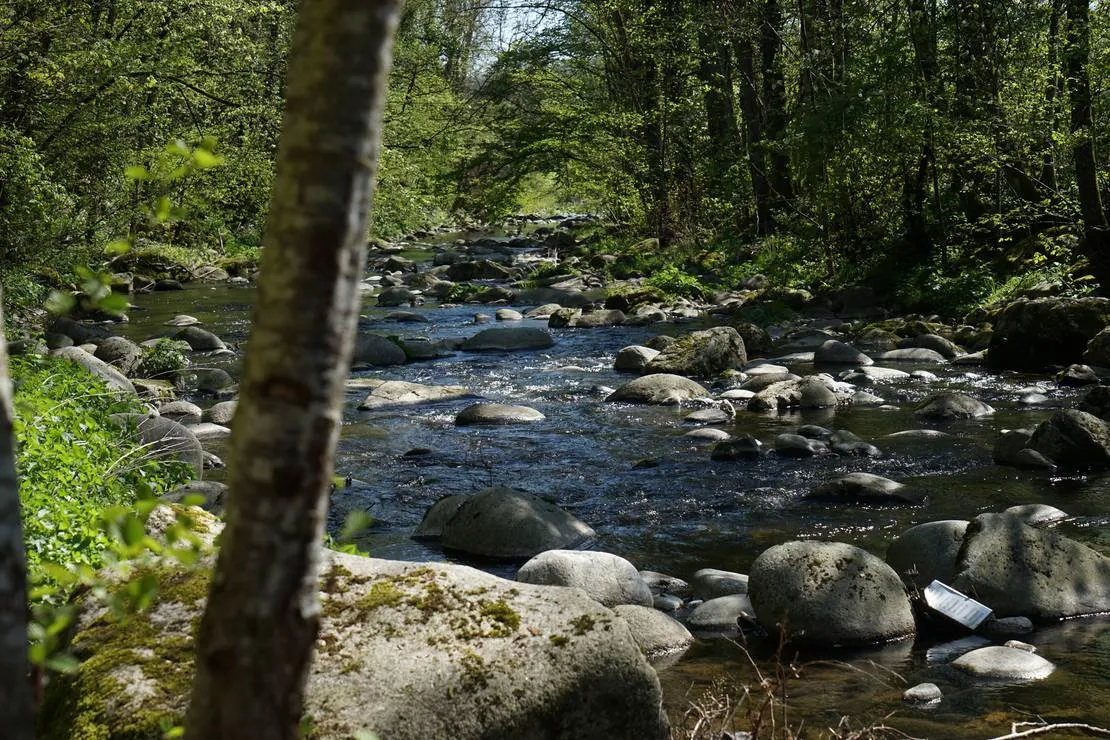 schluchttal-naturcamping-waldshut-tiengen-h0qxh