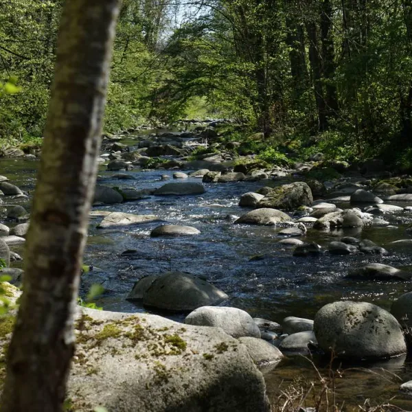 schluchttal-naturcamping-waldshut-tiengen-h0qxh