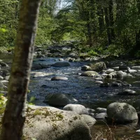 schluchttal-naturcamping-waldshut-tiengen-h0qxh
