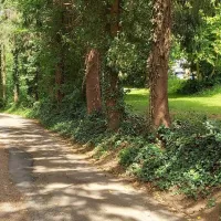schluchttal-naturcamping-waldshut-tiengen-xs4kj