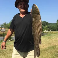 ranchokimana-camping-lagowek-hsrrf