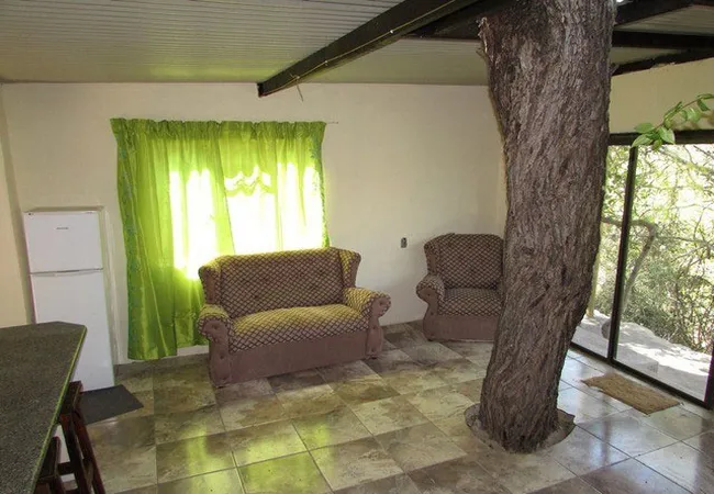 amanzimlotzi-riverside-bush-camp-hoedspruit-rzohc