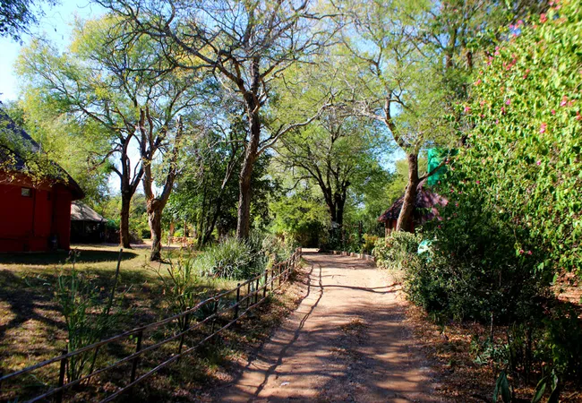 amanzimlotzi-riverside-bush-camp-hoedspruit-zp9gc