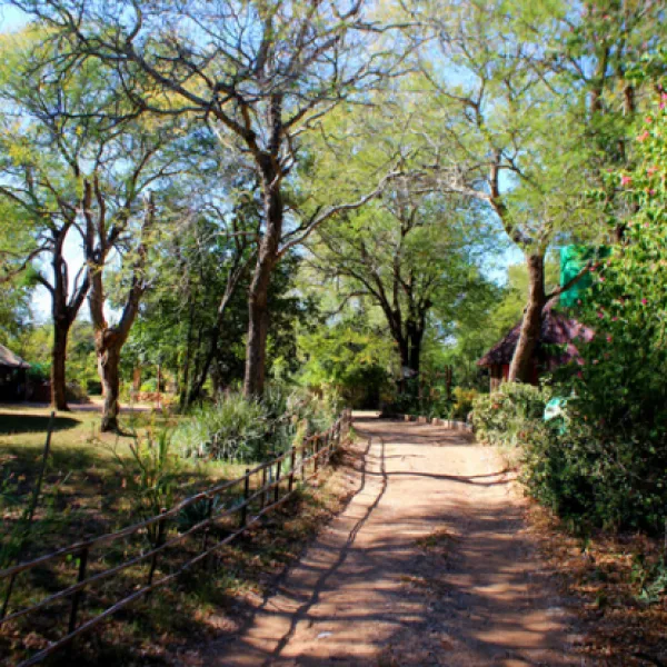 amanzimlotzi-riverside-bush-camp-hoedspruit-zp9gc