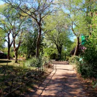 amanzimlotzi-riverside-bush-camp-hoedspruit-zp9gc