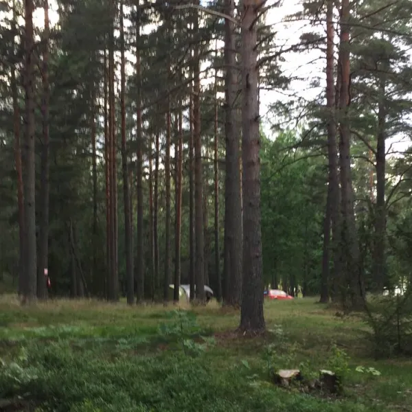 kallbuktens-camping-sankt-anna-3gmnf