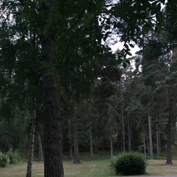 kallbuktens-camping-sankt-anna-jbwvz