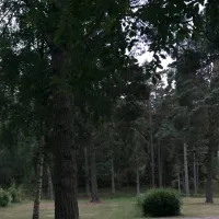 kallbuktens-camping-sankt-anna-jbwvz