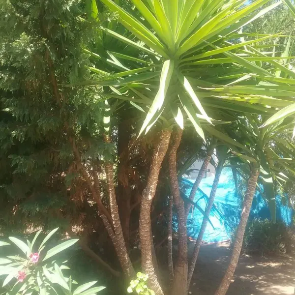 Camperpark Carvoeiro Lagoa