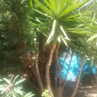 Camperpark Carvoeiro Lagoa