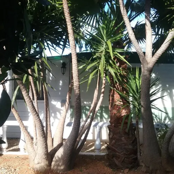camperpark-carvoeiro-lagoa-carvoeiro-cl3kp