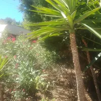 camperpark-carvoeiro-lagoa-carvoeiro-fbroy