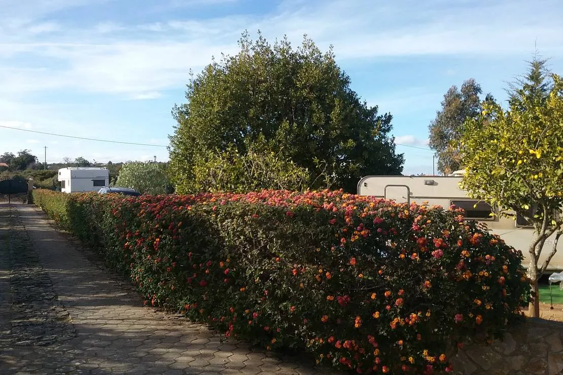 camperpark-carvoeiro-lagoa-carvoeiro-rjssc