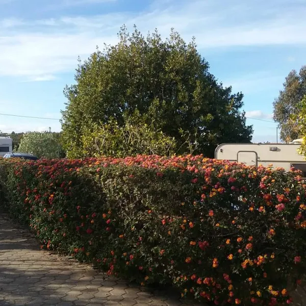 camperpark-carvoeiro-lagoa-carvoeiro-rjssc
