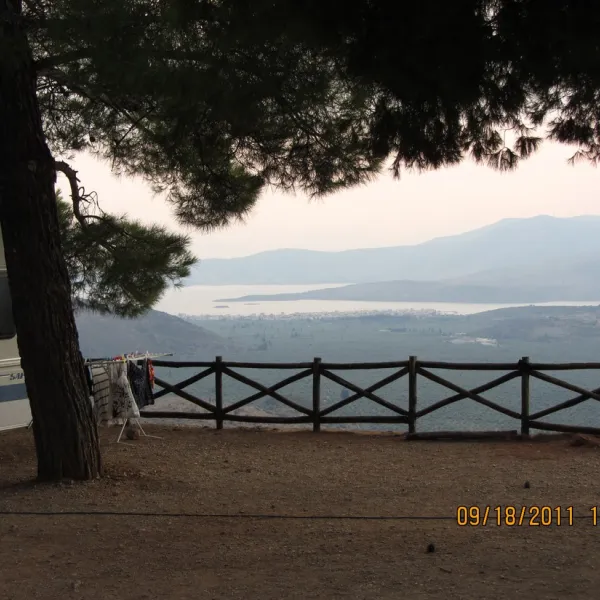 delphi-delphi-bkm8n