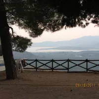 delphi-delphi-bkm8n