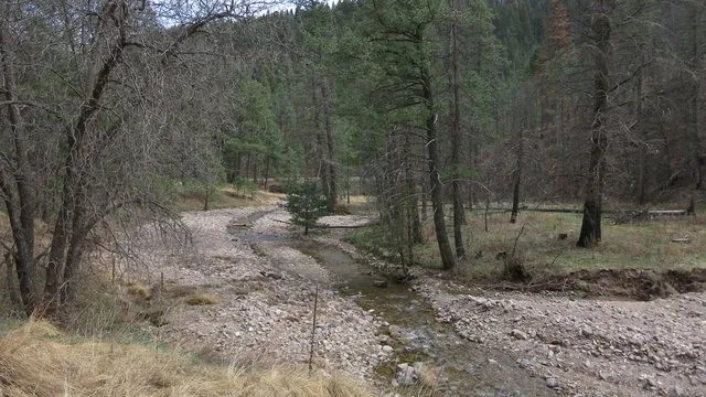 south-fork-eagle-creek-alto-3vrh6
