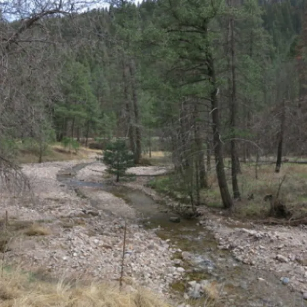 south-fork-eagle-creek-alto-3vrh6