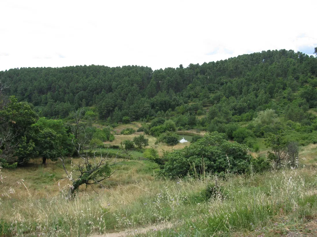 relais-des-brison-beaumont-oq2rr