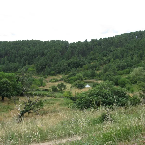 relais-des-brison-beaumont-oq2rr