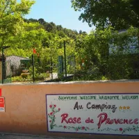 Rose de Provence