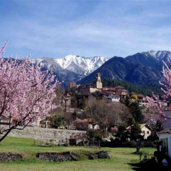 del-bosc-vernet-les-bains-3amr0