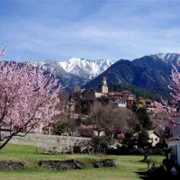 del-bosc-vernet-les-bains-3amr0