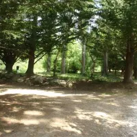del-bosc-vernet-les-bains-krwpv