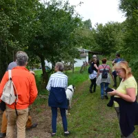 hondencamping-la-soupeze-dournazac-dordogne-jxknl