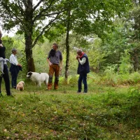 Hondencamping La Soupèze