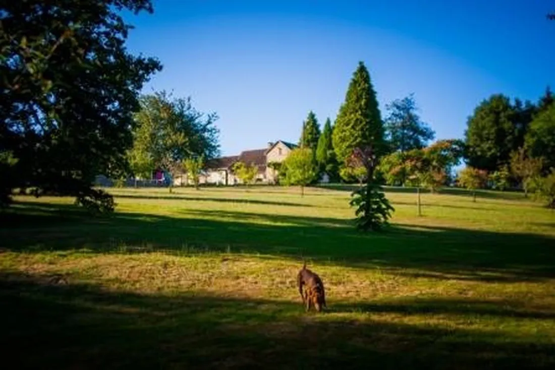 hondencamping-la-soupeze-dournazac-dordogne-y4pv3